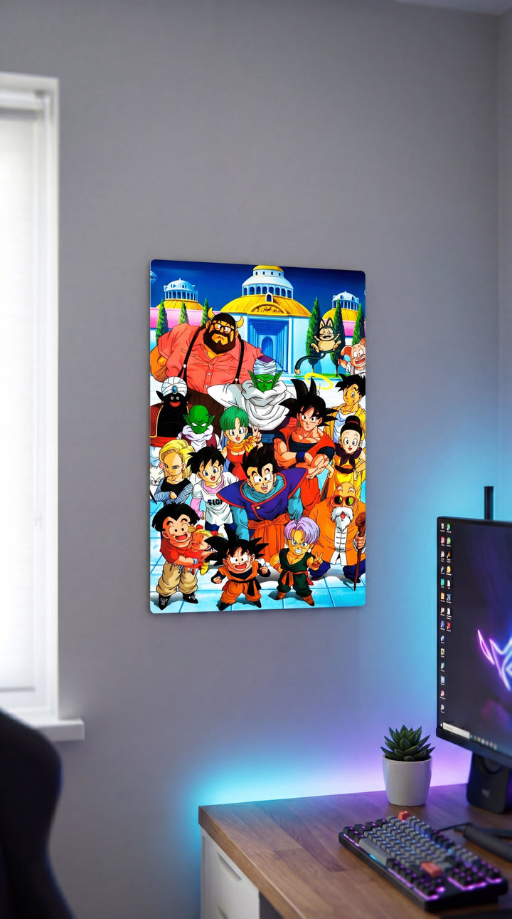 Cuadro metálico DBZ  | XEN