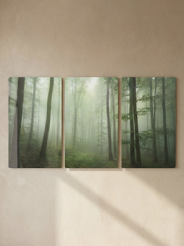 Triptico Bosque | XEN
